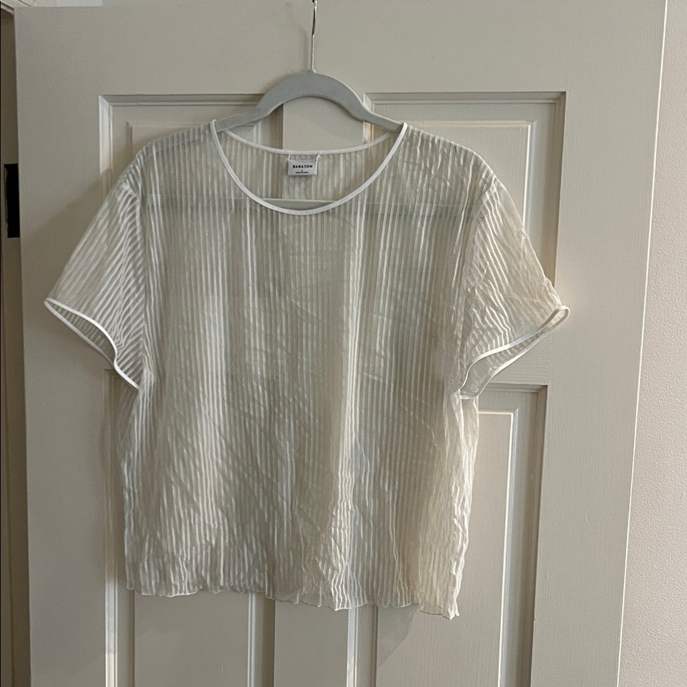Babaton Sheer Cream Blouse